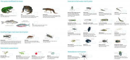 Waterdiertjeskaart Natuur & Milieu