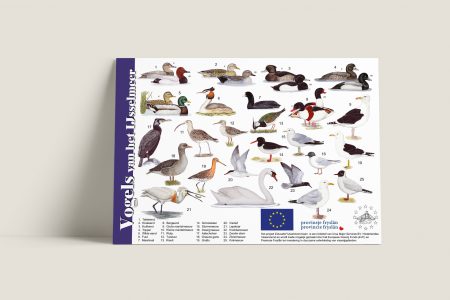Herkenningskaart Vogels van het IJsselmeer